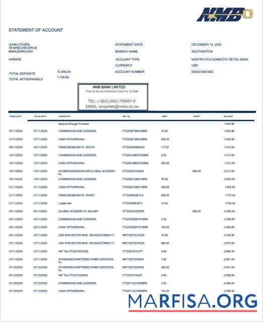Blank Zimbabwe NMB bank statement of account word download for verification